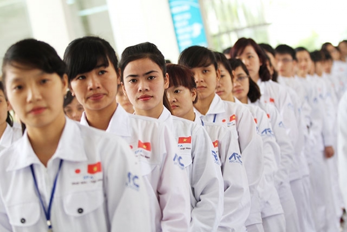 Japan is largest recipient of Vietnamese guestworkers
